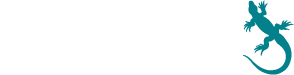 Bucher-Verlag Hohenems