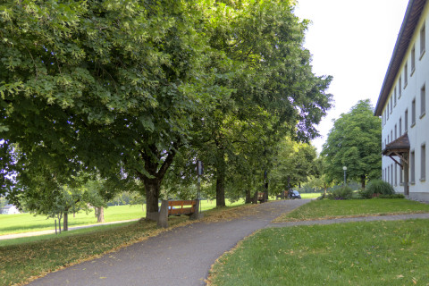Die Lindenallee vor unserem G&auml;stetrakt spendet neben herrlich duftenden Lindenbl&uuml;ten auch erholsamen Schatten