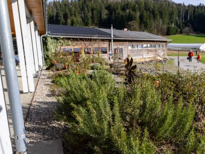 518A6449-08ef15ee Zisterziensterinnenabtei Mariastern | Klosterladen
