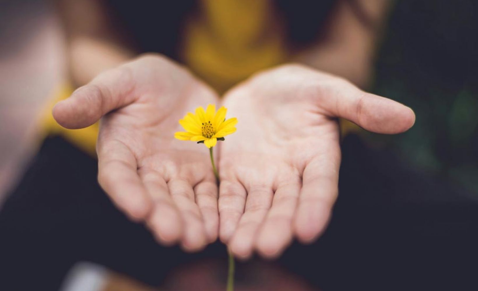 420d2108 image Sachspende