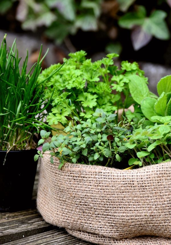 cdf7936a Zisterziensterinnenabtei Mariastern | Willkommen